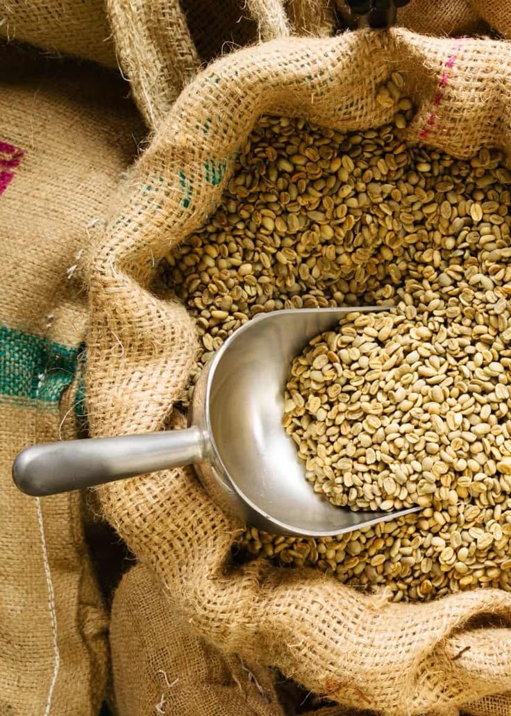 Raw Coffee Beans